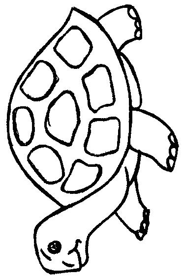 Fisă de colorat cu Animale broaste testoase de colorat p32