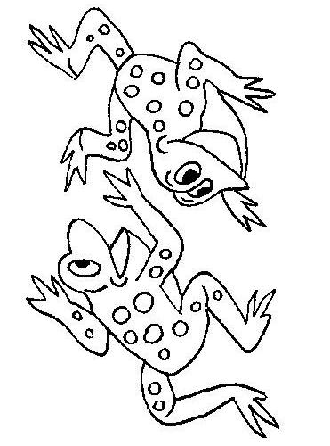 Fisă de colorat cu Animale broscute de colorat p09