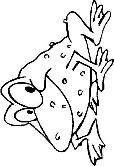 Fisă de colorat cu Animale broscute de colorat p100