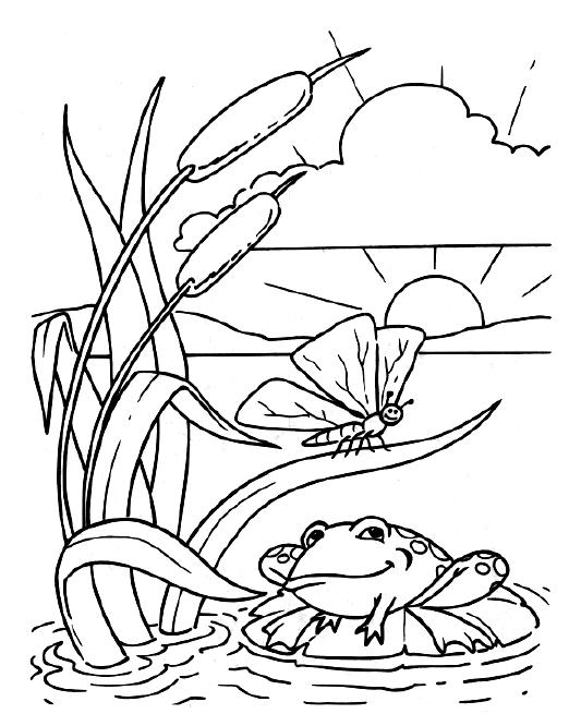 Fisă de colorat cu Animale broscute de colorat p106