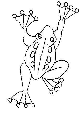 Fisă de colorat cu Animale broscute de colorat p12