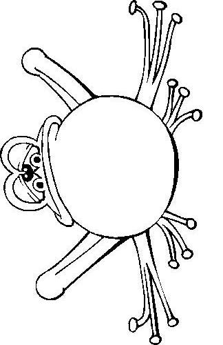 Fisă de colorat cu Animale broscute de colorat p14