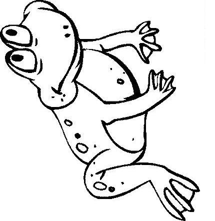 Fisă de colorat cu Animale broscute de colorat p19