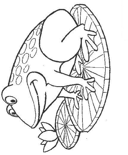 Fisă de colorat cu Animale broscute de colorat p26