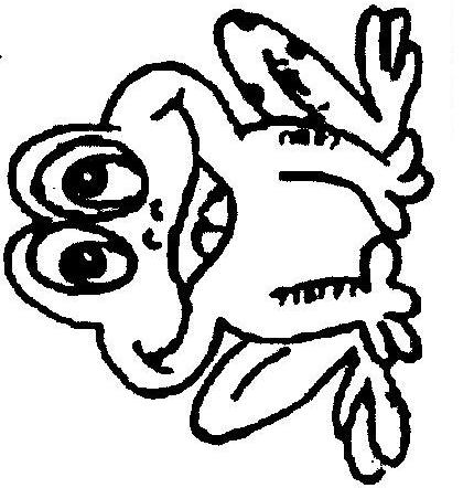 Fisă de colorat cu Animale broscute de colorat p42