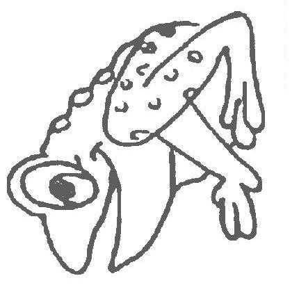 Fisă de colorat cu Animale broscute de colorat p44