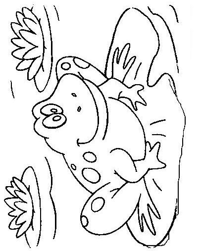 Fisă de colorat cu Animale broscute de colorat p60