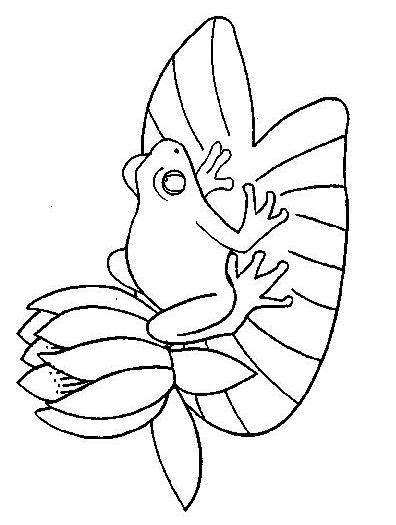 Fisă de colorat cu Animale broscute de colorat p63