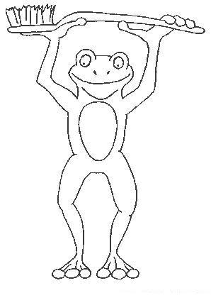 Fisă de colorat cu Animale broscute de colorat p65