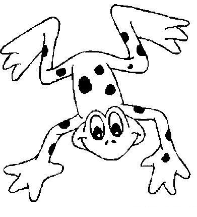 Fisă de colorat cu Animale broscute de colorat p68