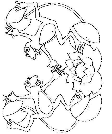 Fisă de colorat cu Animale broscute de colorat p69