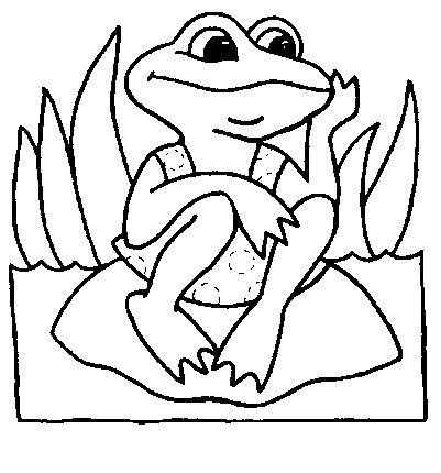 Fisă de colorat cu Animale broscute de colorat p70