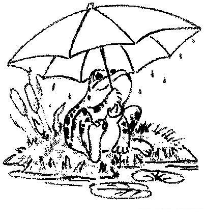 Fisă de colorat cu Animale broscute de colorat p76