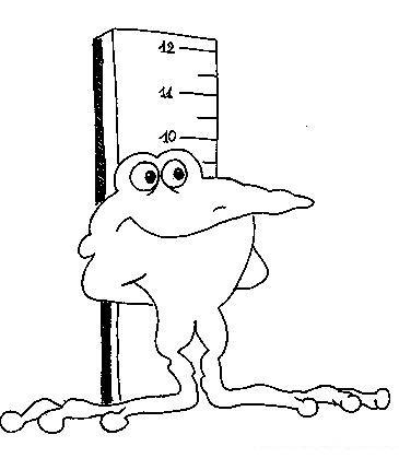 Fisă de colorat cu Animale broscute de colorat p79