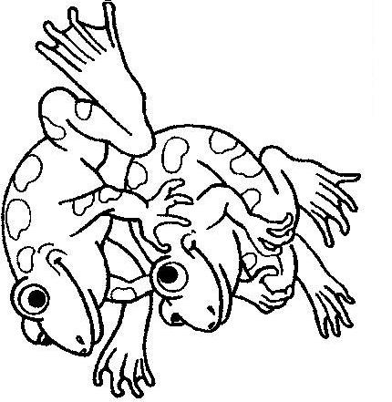 Fisă de colorat cu Animale broscute de colorat p83