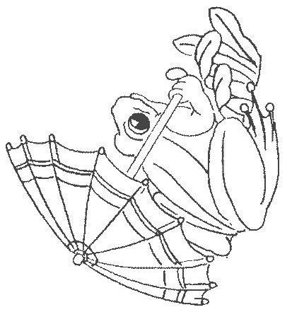 Fisă de colorat cu Animale broscute de colorat p93