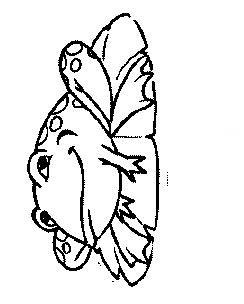 Fisă de colorat cu Animale broscute de colorat p94