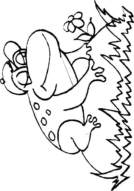 Fisă de colorat cu Animale broscute de colorat p98