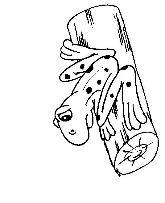 Fisă de colorat cu Animale broscute de colorat p99