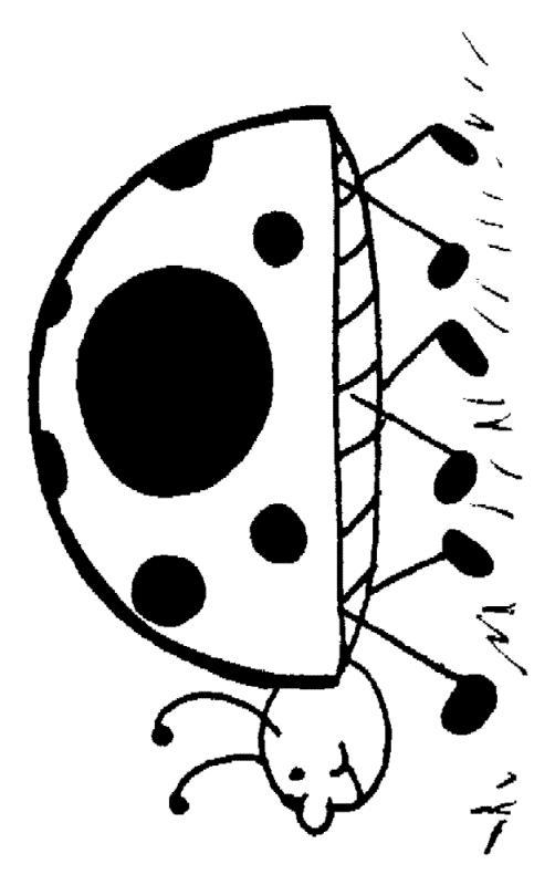 Fisă de colorat cu Animale buburuze de colorat p02