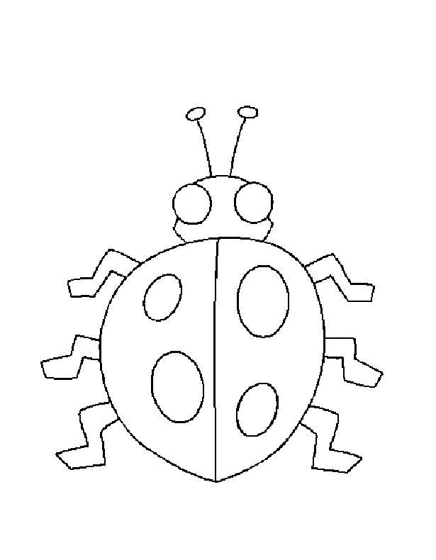 Fisă de colorat cu Animale buburuze de colorat p04