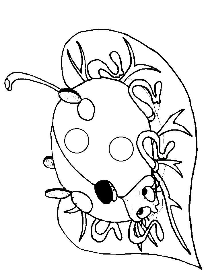 Fisă de colorat cu Animale buburuze de colorat p06