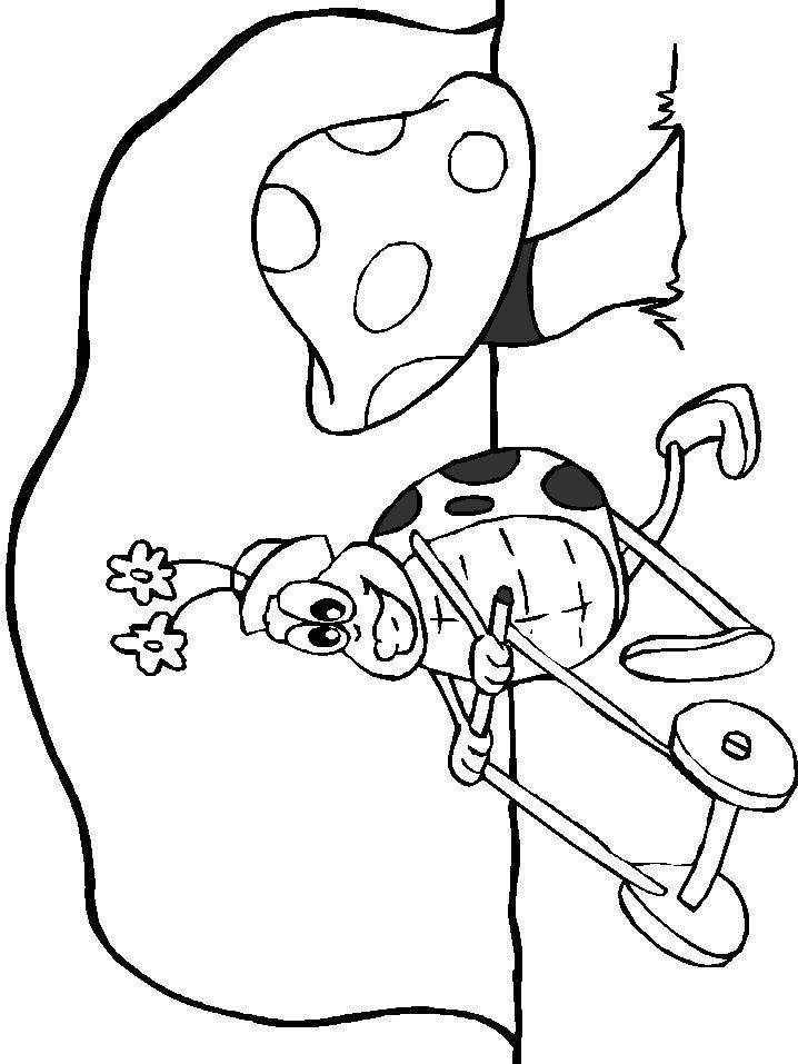 Fisă de colorat cu Animale buburuze de colorat p07