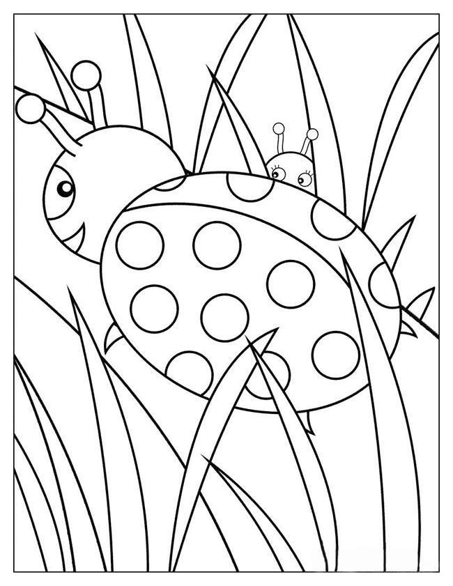 Fisă de colorat cu Animale buburuze de colorat p10