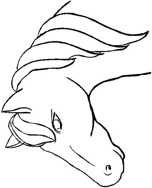 Fisă de colorat cu Animale cai de colorat p02