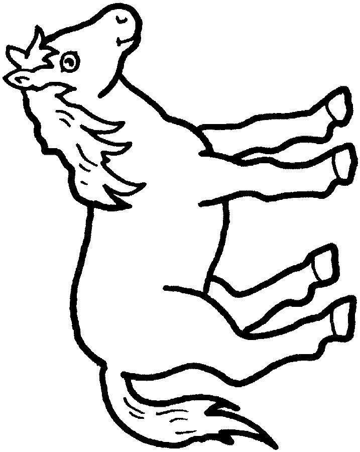 Fisă de colorat cu Animale cai de colorat p05