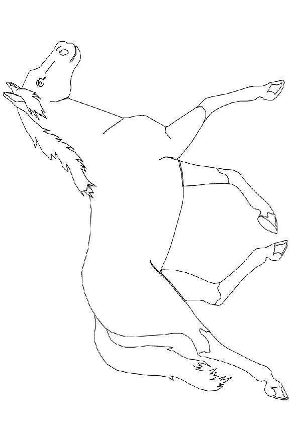 Fisă de colorat cu Animale cai de colorat p18