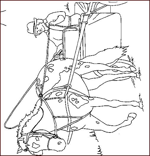 Fisă de colorat cu Animale cai de colorat p37