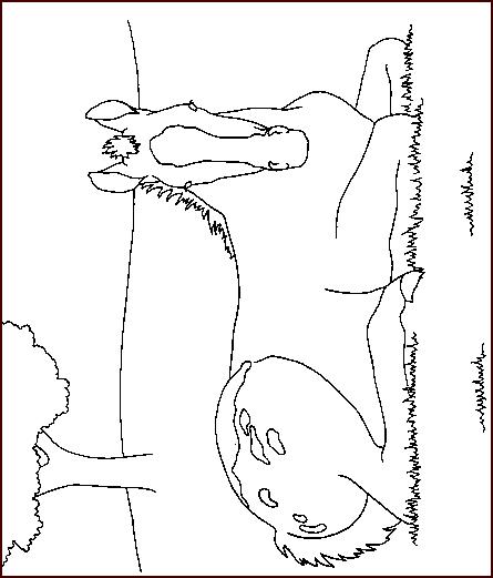 Fisă de colorat cu Animale cai de colorat p41