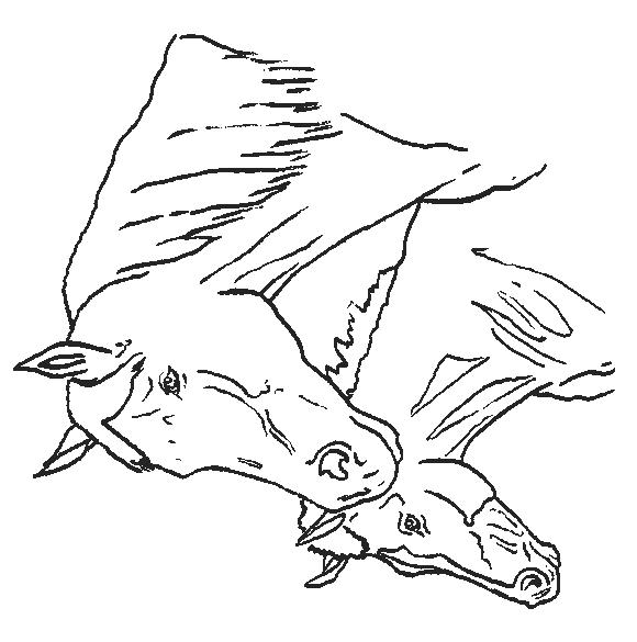 Fisă de colorat cu Animale cai de colorat p43