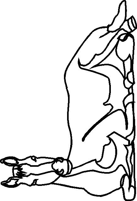 Fisă de colorat cu Animale cai de colorat p54