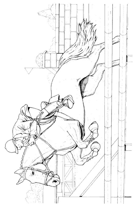 Fisă de colorat cu Animale cai de colorat p69