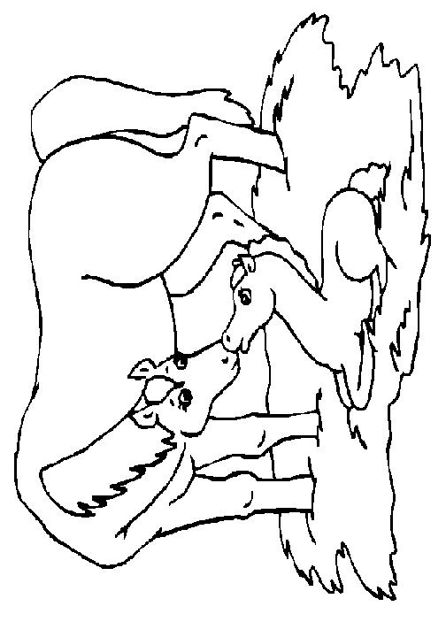 Fisă de colorat cu Animale cai de colorat p75