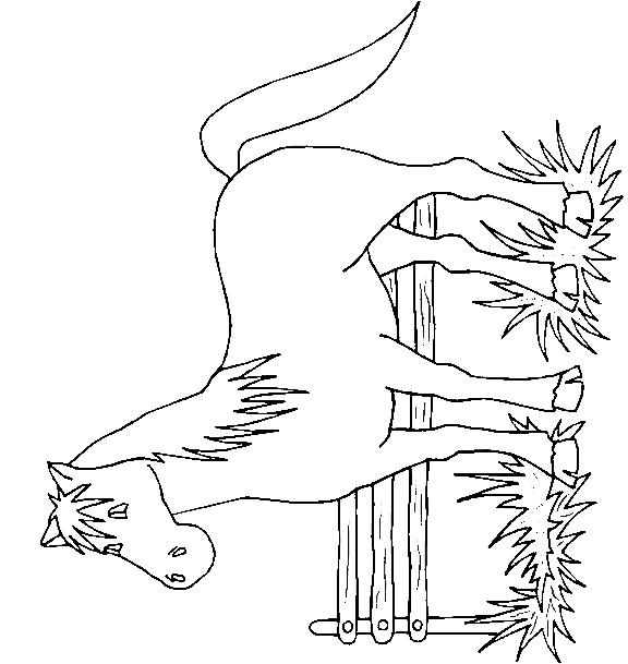 Fisă de colorat cu Animale cai de colorat p81