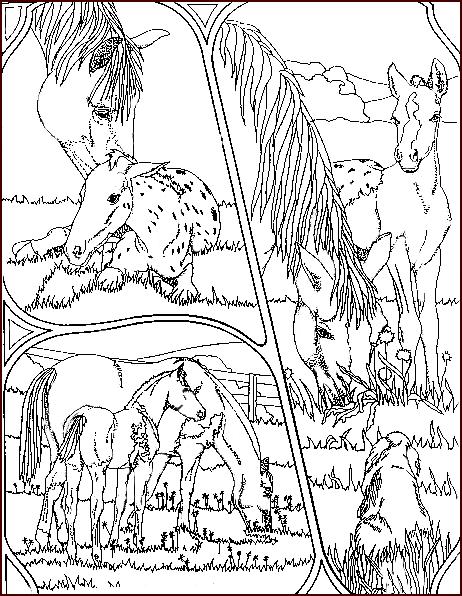 Fisă de colorat cu Animale cai de colorat p85