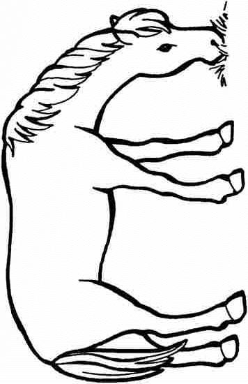 Fisă de colorat cu Animale cai de colorat p87