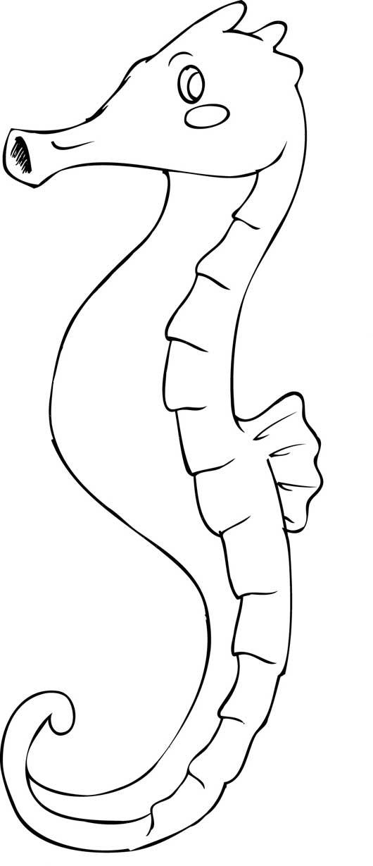 Fisă de colorat cu Animale caluti de mare de colorat p01