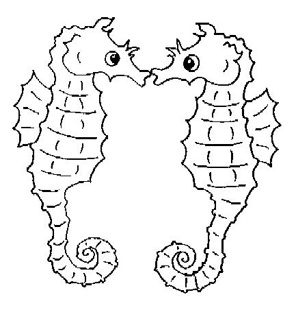 Fisă de colorat cu Animale caluti de mare de colorat p07