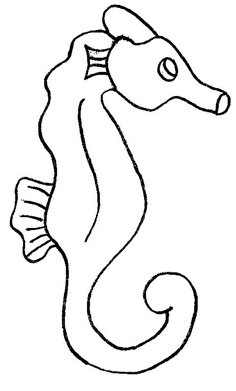 Fisă de colorat cu Animale caluti de mare de colorat p10