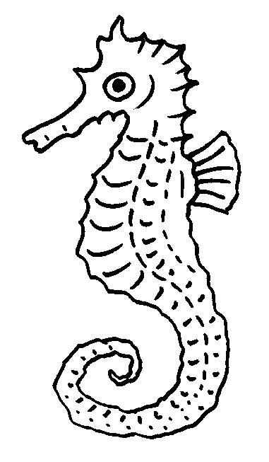 Fisă de colorat cu Animale caluti de mare de colorat p12