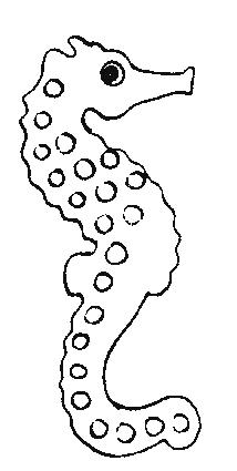 Fisă de colorat cu Animale caluti de mare de colorat p14