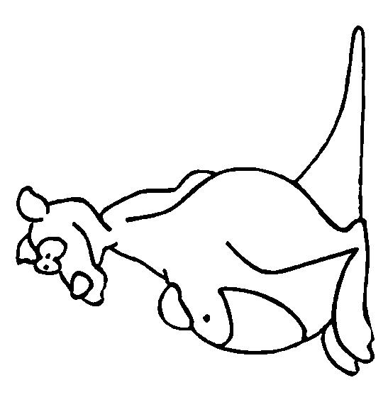Fisă de colorat cu Animale canguri de colorat p02