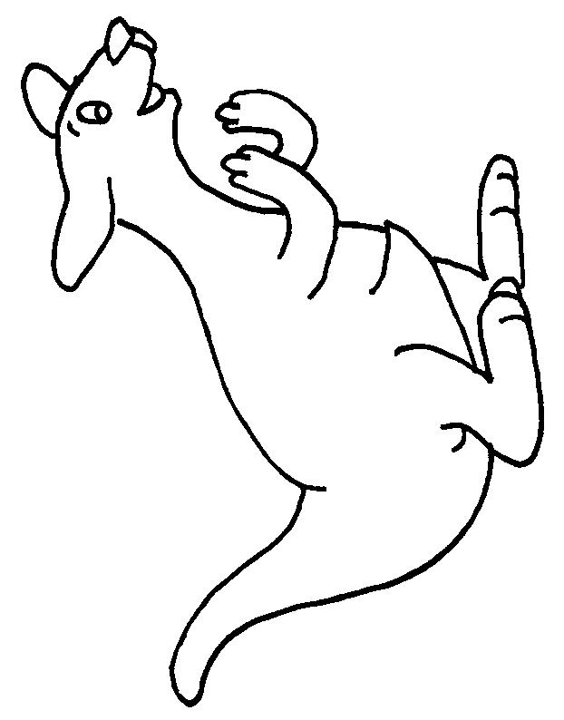 Fisă de colorat cu Animale canguri de colorat p09
