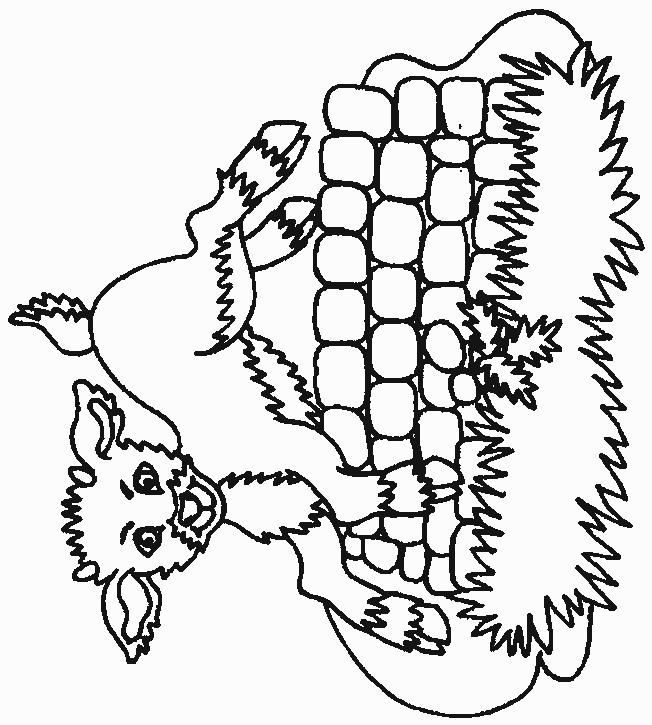 Fisă de colorat cu Animale capre de colorat p01