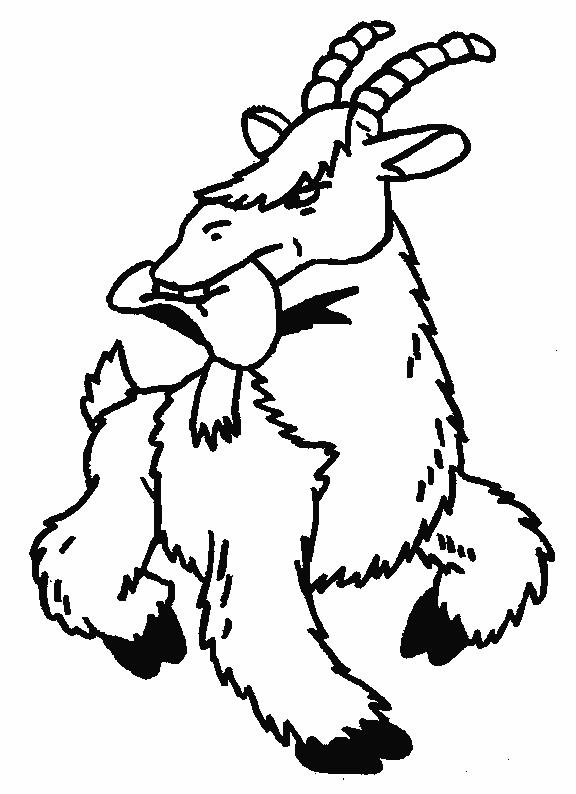 Fisă de colorat cu Animale capre de colorat p07