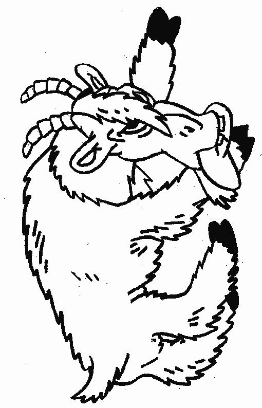 Fisă de colorat cu Animale capre de colorat p12